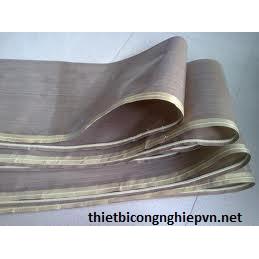 Băng tải, băng tải nhựa, băng tải cao su