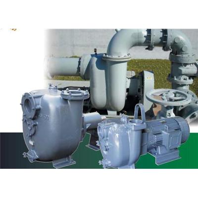Bơm màng hoạt động bằng khí nén Wilden