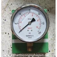đồng hồ áp suất badotherm Holland