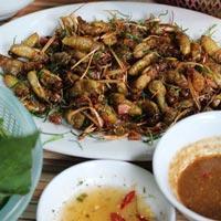 Nhộng ve - Món lạ đất Côn Sơn