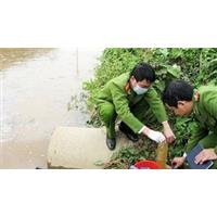 Xử phạt nhiều doanh nghiệp vi phạm pháp luật về môi trường