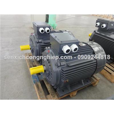 ĐỘNG CƠ ĐIỆN, MOTOR ĐIỆN