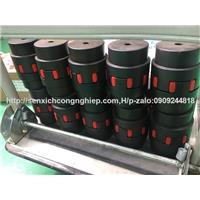 Khớp nối thép DFS