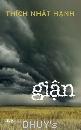 GIẬN