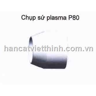 Sứ bảo vệ p80