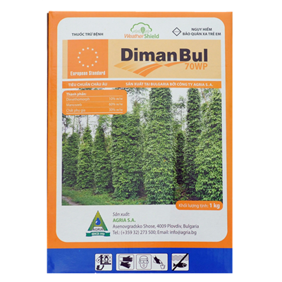 DIMAN BUL 70WP