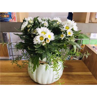 Lọ Cắm Hoa Gốm Sứ Mini Decor Có Dây Trang Trí (Không Bao Gồm Bông)