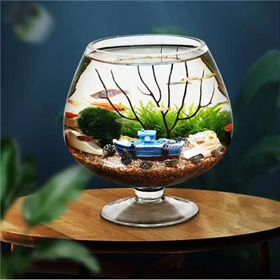 LY Thủy Tinh SIÊU TO Khổng Lồ 2.5 Lít CÓ CHÂN  LY Thuy Tinh SIEU TO Khong Lo 2.5 Lit CO CHAN