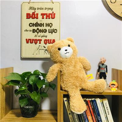 GẤU Bông Lông Xù SOLITE MÀU NÂU  GAU Bong Long Xu SOLITE MAU NAU